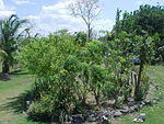 MVC_001F_007.jpg