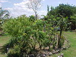 MVC_002F_008.jpg
