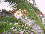 MVC_005F_008.jpg