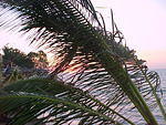 MVC_007F_007.jpg