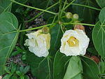 MVC_008F_005.jpg