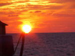 MVC_008F_007.jpg