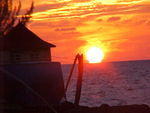 MVC_009F_007.jpg