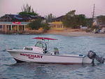 MVC_013F_004.jpg