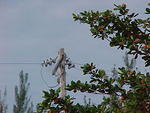 MVC_001F_007.jpg