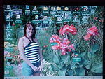 MVC_002F_009.jpg