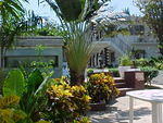 MVC_004F_015.jpg