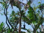MVC_008F_013.jpg