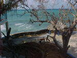 MVC_009F_005.jpg