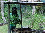 MVC_010F_002.jpg