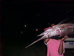 MVC_020F_003.jpg