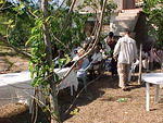 MVC_003F_002.jpg