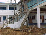 MVC_001F_006.jpg