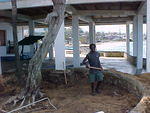 MVC_001F_018.jpg