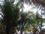 MVC_001F_023.jpg