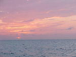 MVC_001F_029.jpg