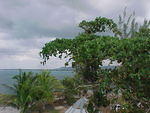MVC_002F_005.jpg