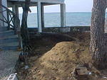 MVC_002F_010.jpg