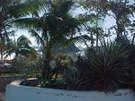 MVC_003F_008.jpg