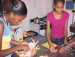 MVC_004F_004.jpg