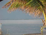 MVC_005F_018.jpg
