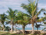 MVC_006F_005.jpg