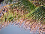MVC_006F_016.jpg