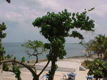 MVC_006F_018.jpg