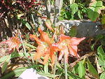 MVC_007F_005.jpg