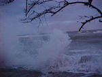 MVC_007F_006.jpg
