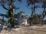MVC_007F_007.jpg