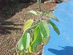 MVC_008F_005.jpg