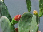 MVC_008F_016.jpg