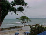 MVC_012F_010.jpg