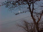 MVC_014F_001.jpg