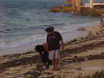 Walking the beach