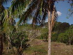 MVC_002F.jpg
