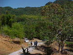 MVC_007F_001.jpg