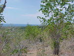 MVC_010F.jpg