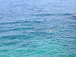 Snorklers