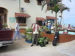 Michael the Negril plants man hads ome gorgeous plants