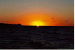 Fire on sea.