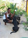 22 with the puppies
