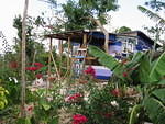 The Half House still growing too. After converting the verandah last year to another sunlit room we are now adding another veran