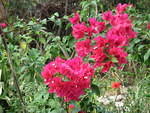 What a wonderful colour