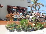 Red Ground's Plants Man Michael sold so many of his gorgeous plants