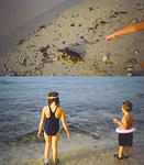 kidsturtle