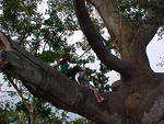 MVC_007F_003.jpg