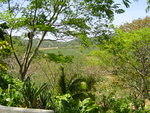 Dsc00307_001.jpg