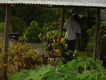 Dsc00327.jpg